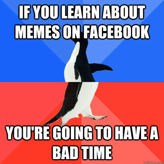 If you learn about memes on facebook you're going to have a bad time  Socially Awkward Awesome Penguin