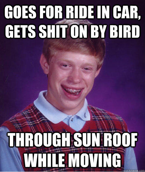 Goes for ride in car, gets shit on by bird through sun roof while moving  - Goes for ride in car, gets shit on by bird through sun roof while moving   Bad Luck Brian