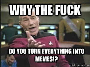 WHY THE FUCK do you turn everything into memes!?  Annoyed Picard