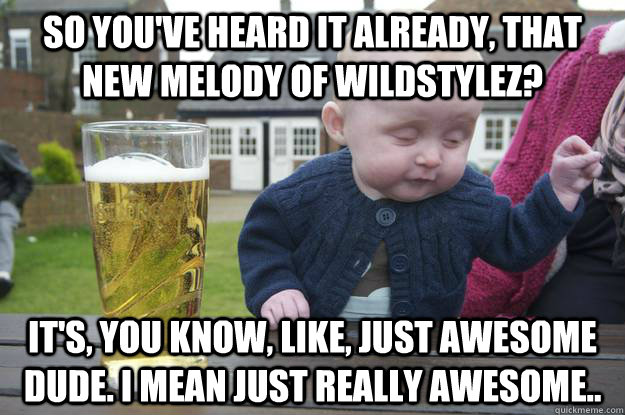 so you've heard it already, That new melody of wildstylez? it's, you know, like, just awesome dude. i mean just really awesome..  drunk baby