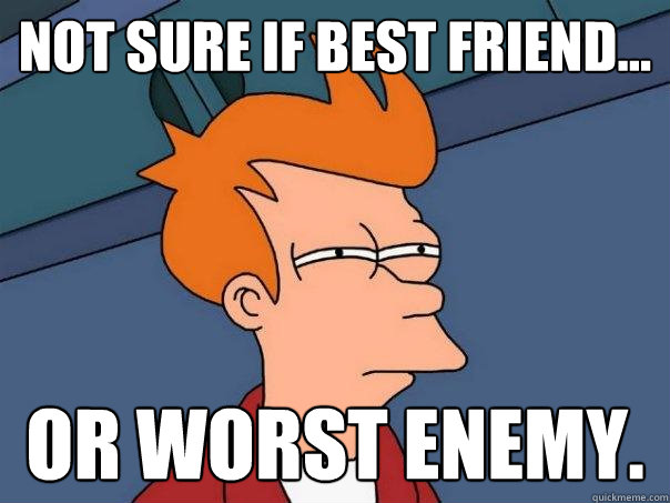 not sure if best friend... or worst enemy.  Futurama Fry