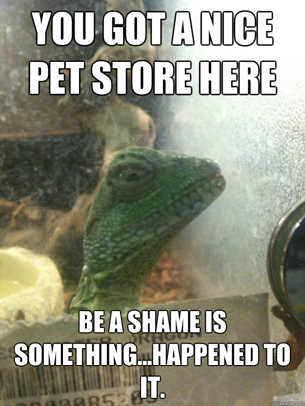 You got a nice pet store here Be a shame is something...happened to it.  Leery Lizard