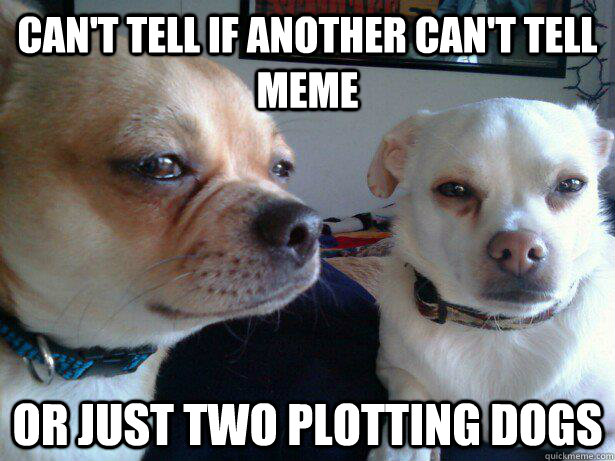 Can't tell if another can't tell meme Or just two plotting dogs - Can't tell if another can't tell meme Or just two plotting dogs  canttellcanttell