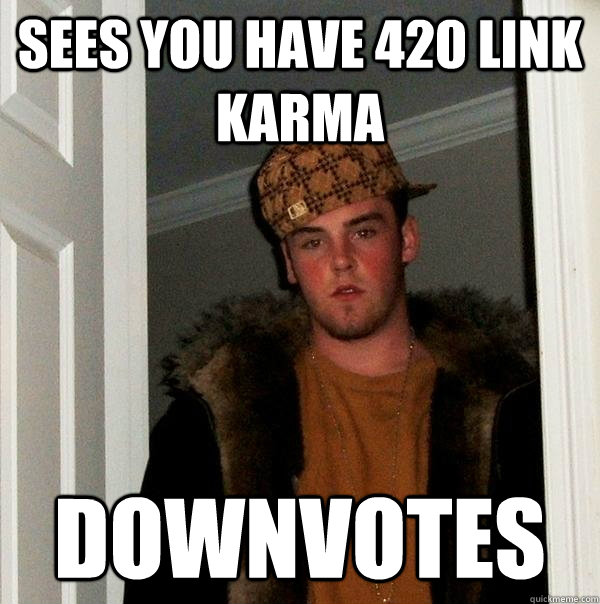 sees you have 420 link karma downvotes  Scumbag Steve