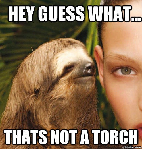 hey guess what... thats not a torch  rape sloth