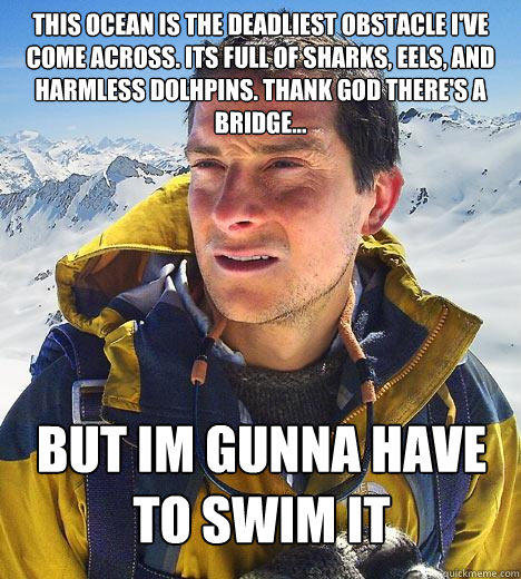 This ocean is the deadliest obstacle i've come across. its full of sharks, eels, and harmless dolhpins. Thank God there's a bridge... But im gunna have to swim it - This ocean is the deadliest obstacle i've come across. its full of sharks, eels, and harmless dolhpins. Thank God there's a bridge... But im gunna have to swim it  Bear Grylls