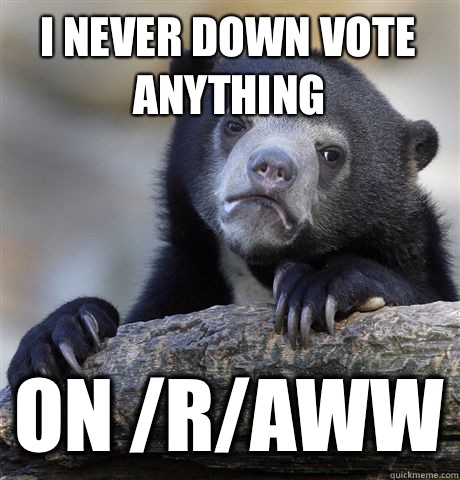 I never down vote anything  On /r/aww  Confession Bear