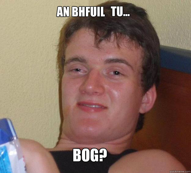 An bhfuil  tu... Bog?  10 Guy