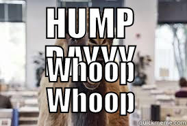 OHYEAHHH camel face awww yeah - HUMP DAYYY WHOOP WHOOP Misc