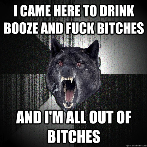 I came here to drink booze and fuck bitches and i'm all out of bitches  Insanity Wolf