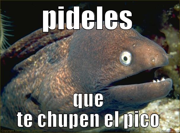 PIDELES QUE TE CHUPEN EL PICO Bad Joke Eel