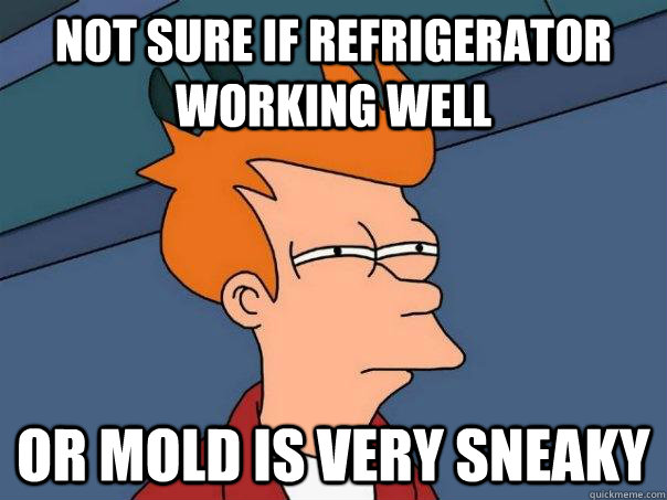 Not sure if refrigerator working well Or mold is very sneaky  Futurama Fry
