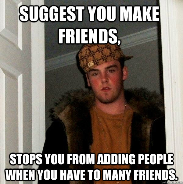 Suggest you make friends, Stops you from adding people when you have to many friends.  Scumbag Steve