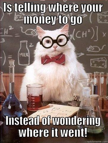 IS TELLING WHERE YOUR MONEY TO GO INSTEAD OF WONDERING WHERE IT WENT! Chemistry Cat