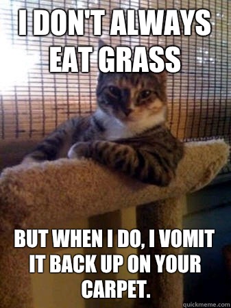 I don't always eat grass but when I do, I vomit it back up on your carpet.  The Most Interesting Cat in the World