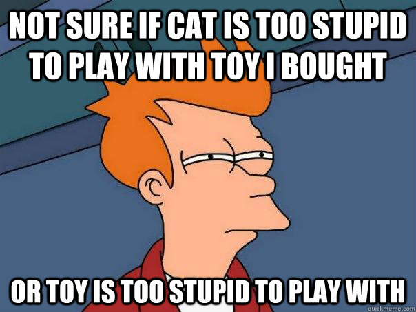 not sure if cat is too stupid to play with toy i bought or toy is too stupid to play with - not sure if cat is too stupid to play with toy i bought or toy is too stupid to play with  Futurama Fry