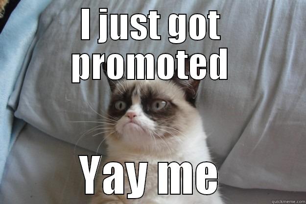 I JUST GOT PROMOTED YAY ME Grumpy Cat