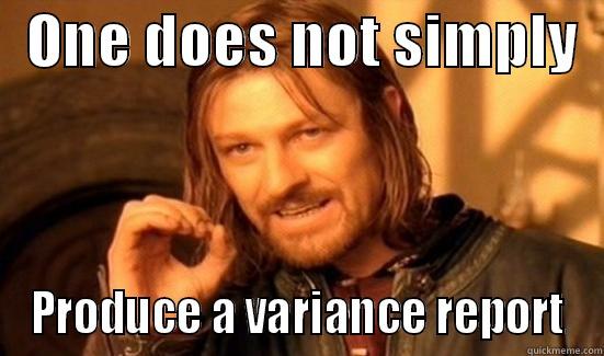   ONE DOES NOT SIMPLY   PRODUCE A VARIANCE REPORT Boromir