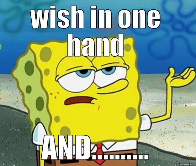 WISH IN ONE HAND AND.......... Tough Spongebob