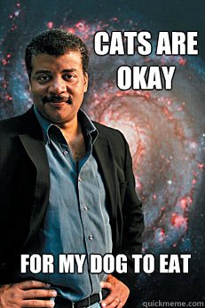 cats are okay for my dog to eat  Neil deGrasse Tyson