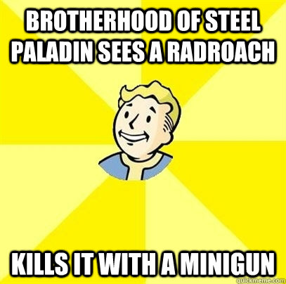 Brotherhood of steel paladin sees a radroach kills it with a minigun  Fallout 3