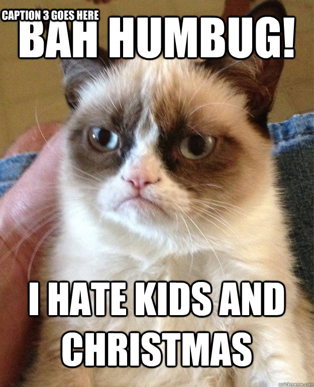 Bah Humbug! I HATE KIDS AND CHRISTMAS Caption 3 goes here  Grumpy Cat