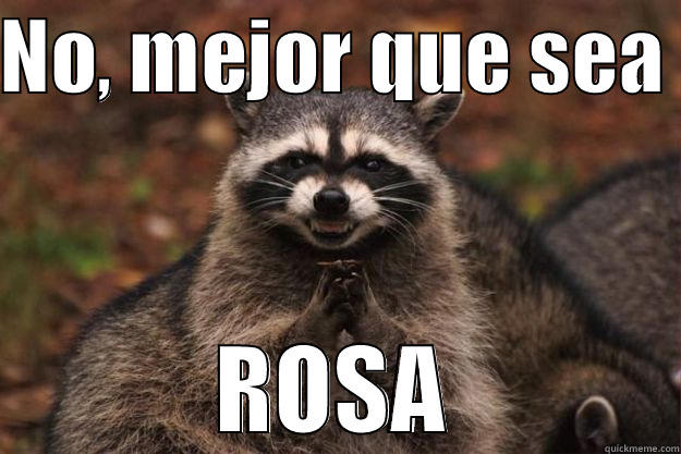 mejor que sea rosa - NO, MEJOR QUE SEA  ROSA Evil Plotting Raccoon