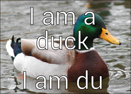 I am a duck I am duck dynasty - I AM A DUCK I AM DUCK DYNASTY Actual Advice Mallard