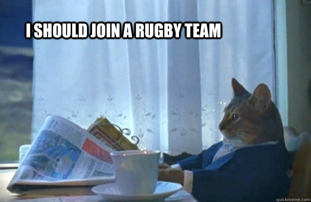 I should join a rugby team  Sophisticated Cat