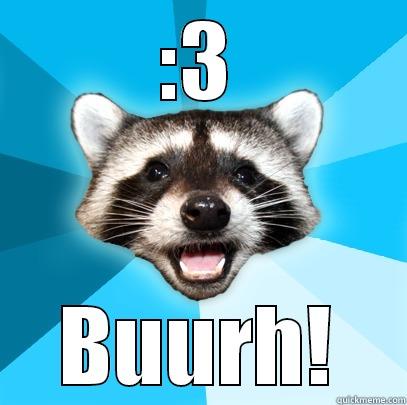 :3 BUURH! Lame Pun Coon