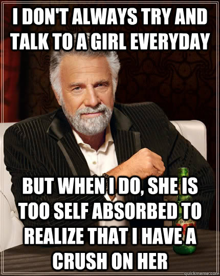 I don't always try and talk to a girl everyday but When I do, she is too self absorbed to realize that i have a crush on her  The Most Interesting Man In The World