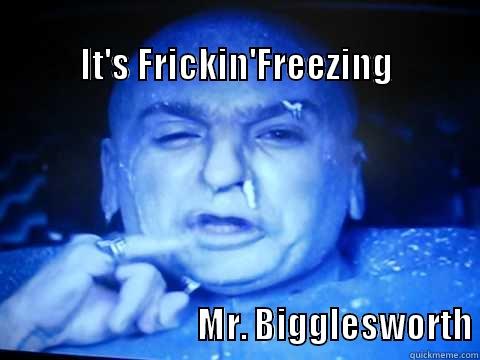 Frickin' Cold -                                                                     IT'S FRICKIN'FREEZING                                                                                                                                                                   MR. BIGGLESWORTH Misc