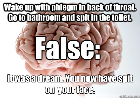 Wake up with phlegm in back of throat. Go to bathroom and spit in the toilet. It was a dream. You now have spit on  your face. False:  Scumbag Brain