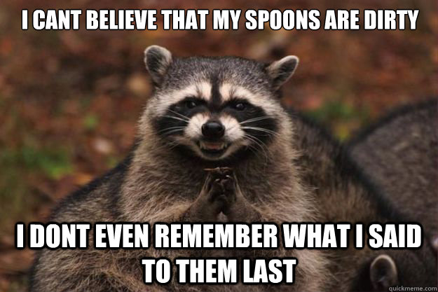 I cant believe that my spoons are dirty i dont even remember what i said to them last  Evil Plotting Raccoon