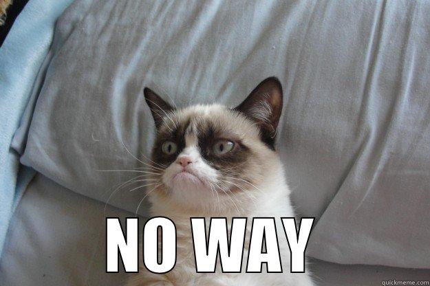  NO WAY Grumpy Cat