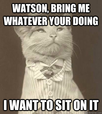 Watson, bring me whatever your doing I want to sit on it  Aristocat