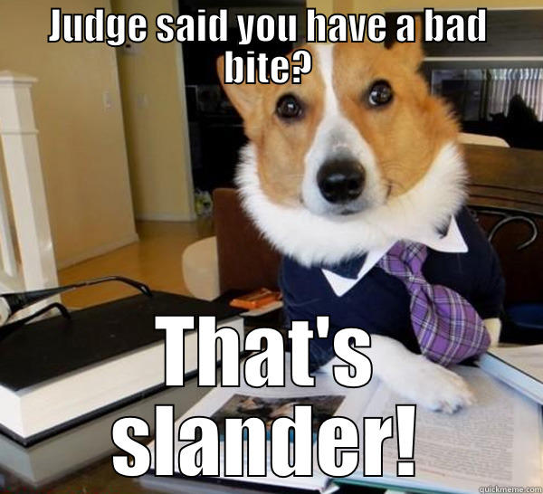 Lawyer Dog - JUDGE SAID YOU HAVE A BAD BITE? THAT'S SLANDER! Lawyer Dog