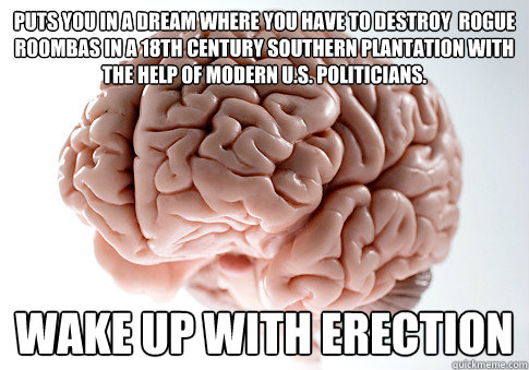 pUTS YOU IN A DREAM WHERE YOU HAVE TO DESTROY  ROGUE rOOMBAS IN A 18TH cENTURY southern plantation with the help of modern U.S. Politicians. Wake up with Erection  Scumbag Brain