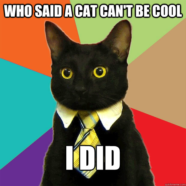 Who said a cat can't be cool I did  Business Cat