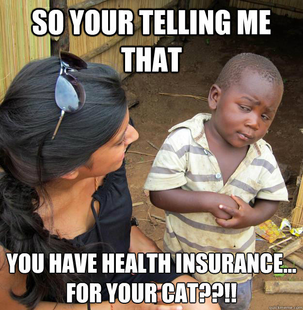 So your telling me that you have health insurance...
for your CAT??!!  Skeptical Third World Kid