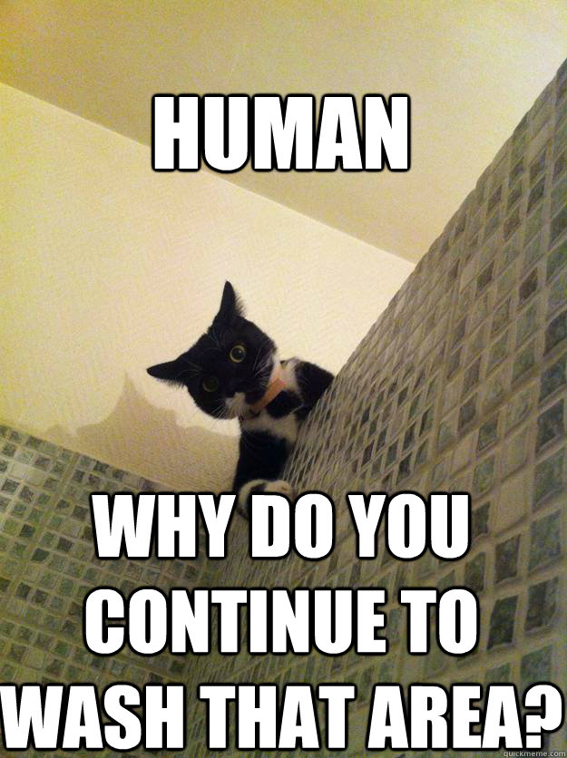 Human Why do you continue to wash that area?  Incredulous Cat