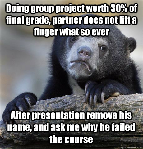 Doing group project worth 30% of final grade, partner does not lift a finger what so ever  After presentation remove his name, and ask me why he failed the course  - Doing group project worth 30% of final grade, partner does not lift a finger what so ever  After presentation remove his name, and ask me why he failed the course   Confession Bear