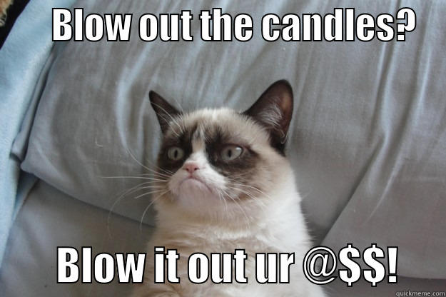        BLOW OUT THE CANDLES?             BLOW IT OUT UR @$$!      Grumpy Cat