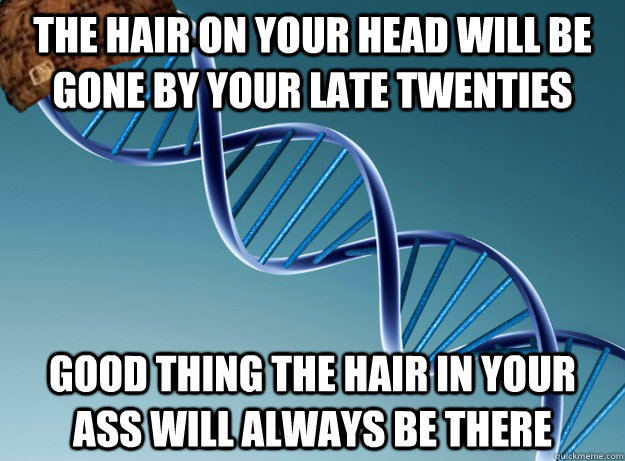 The hair on your head will be gone by your late twenties Good thing the hair in your ass will always be there - The hair on your head will be gone by your late twenties Good thing the hair in your ass will always be there  Scumbag Genetics