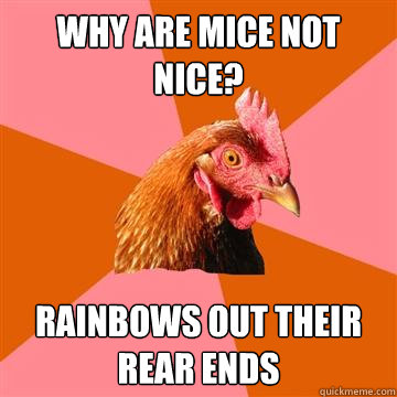 why are mice not nice? rainbows out their rear ends - why are mice not nice? rainbows out their rear ends  Anti-Joke Chicken