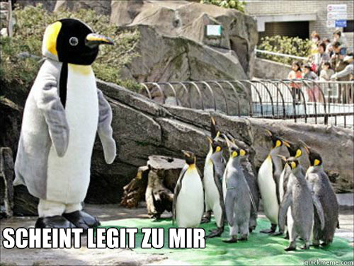  scheint legit zu mir  Seems legit