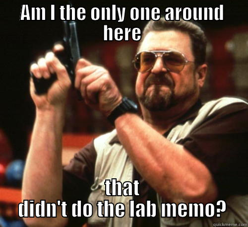 AM I THE ONLY ONE AROUND HERE THAT DIDN'T DO THE LAB MEMO? Am I The Only One Around Here