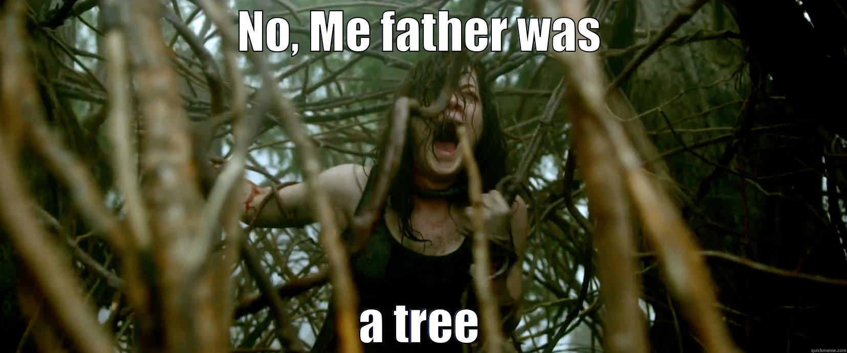 Evil Dead tree rape - NO, ME FATHER WAS A TREE Misc