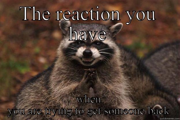 When you are trying to get someone back - THE REACTION YOU HAVE WHEN YOU ARE TRYING TO GET SOMEONE BACK Evil Plotting Raccoon