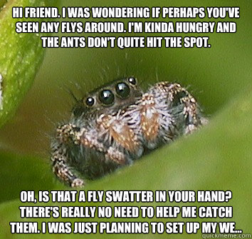 Hi friend. I was wondering if perhaps you've seen any flys around. I'm kinda hungry and the ants don't quite hit the spot. Oh, is that a fly swatter in your hand? There's really no need to help me catch them. I was just planning to set up my we...  Misunderstood Spider